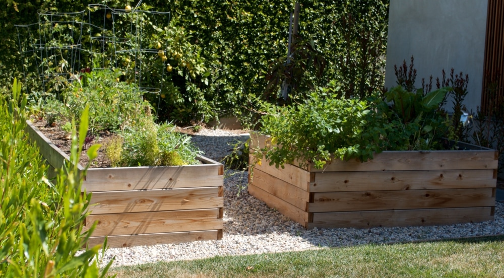 Grow Your Own Food - Outside InStyle